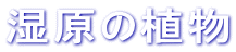 ｼ���A��

