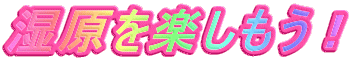 yI
