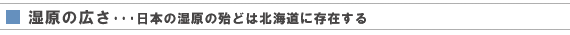 ̍Lc{̖̎wǂ͖kCɑ݂