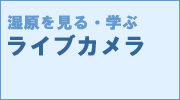 RcŌ