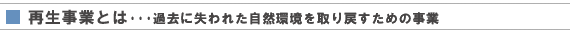 ĐƂƂ