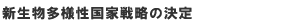 VlƐ헪̌