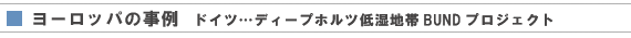 [bp̎@hCc@fB[vzcᎼnтatmcvWFNg