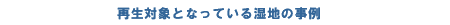ĐΏۂƂȂĂ鎼n̎