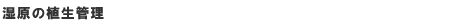 ̐AǗ